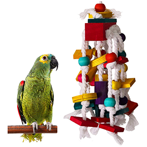 Bird Toys